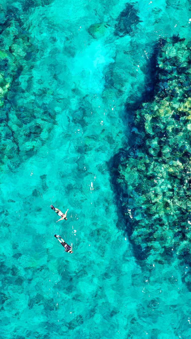 Reef